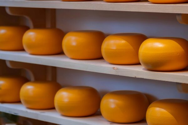 yet another blog post