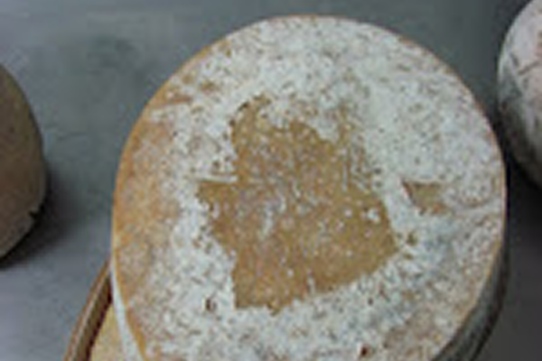 Debbie in Italy, Part 4: Sardinian Pecorino